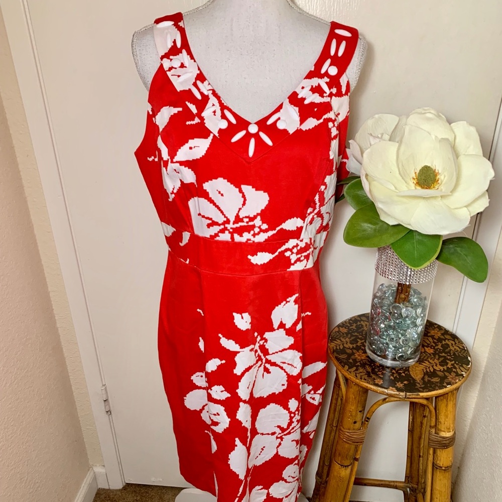 Sandra Darren Plus Size Dress